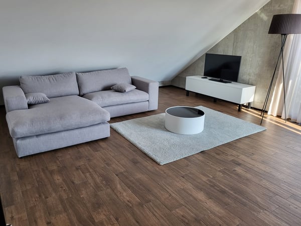 Topmodernes, möbliertes Appartement im Sternmattquartier 4