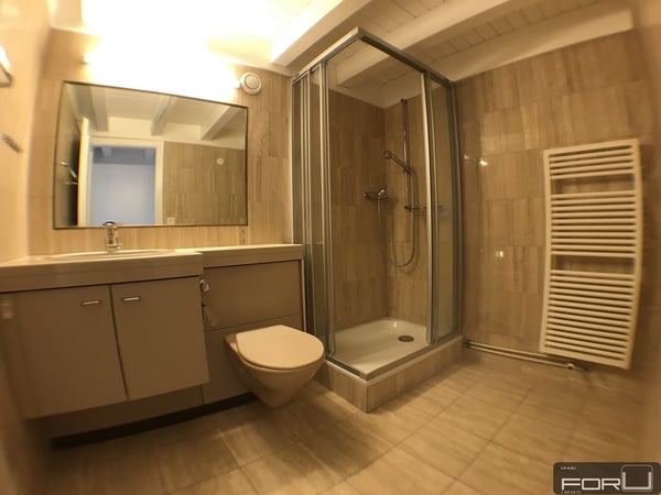 Superbe attique atypique dans le Vieux-Carouge 13