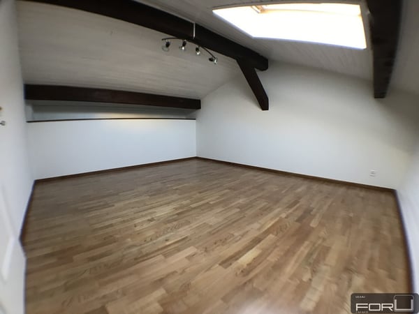 Superbe attique atypique dans le Vieux-Carouge 8