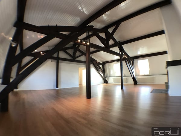 Superbe attique atypique dans le Vieux-Carouge 2