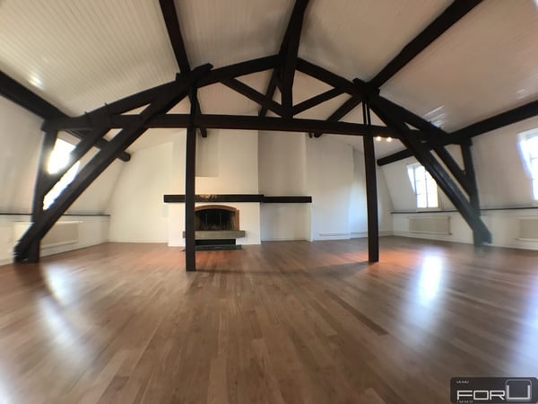 Superbe attique atypique dans le Vieux-Carouge 1