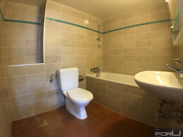 Superbe attique atypique dans le Vieux-Carouge 12