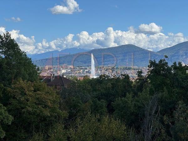 Superbe attique 1.5 pièces neuf avec 2 terrasses et vue près de l'ONU 1