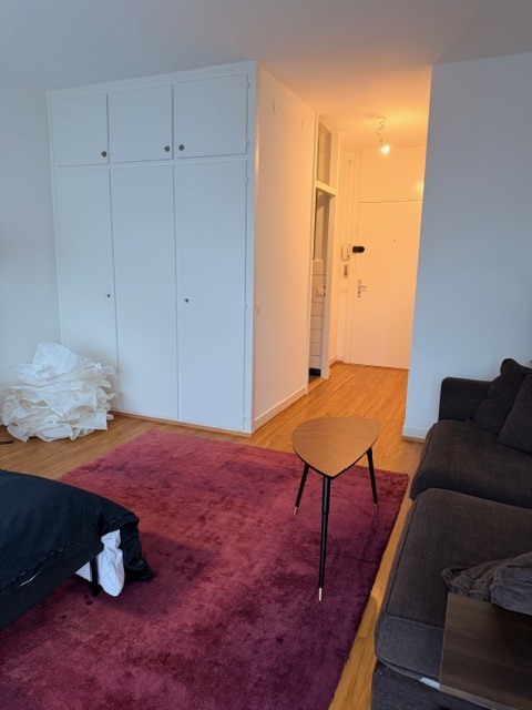 Studio meublé aux Eaux-Vives 3