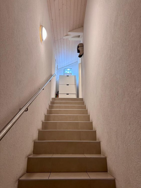 UNIQUE - Bel et grand appartement 1 pièces avec terrasse aux Pâquis 11