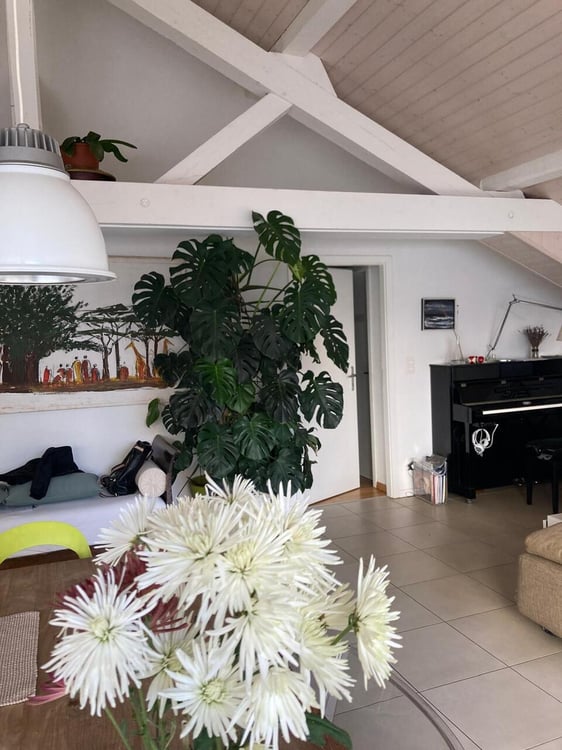 UNIQUE - Bel et grand appartement 1 pièces avec terrasse aux Pâquis 5