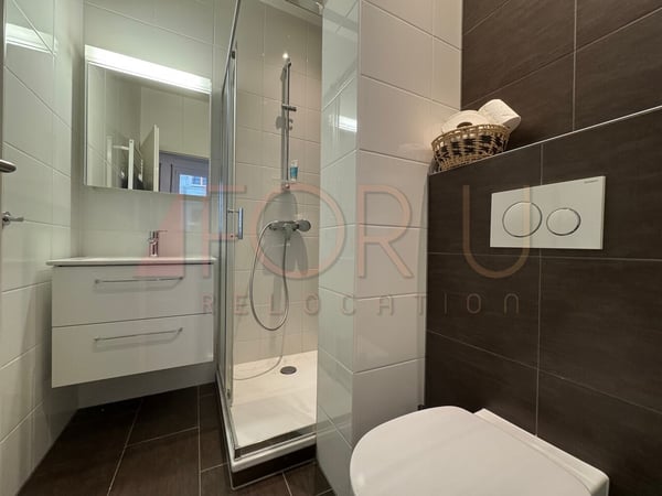 Studio moderne en hyper centre de Genève 4