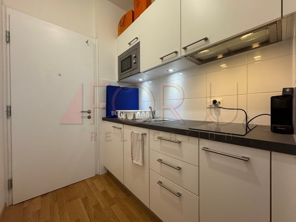 Studio moderne en hyper centre de Genève 3