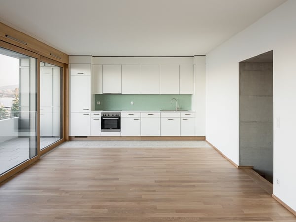 Superbe duplex en surélévation de 9.5 pièces avec terrasse et vue lac 3