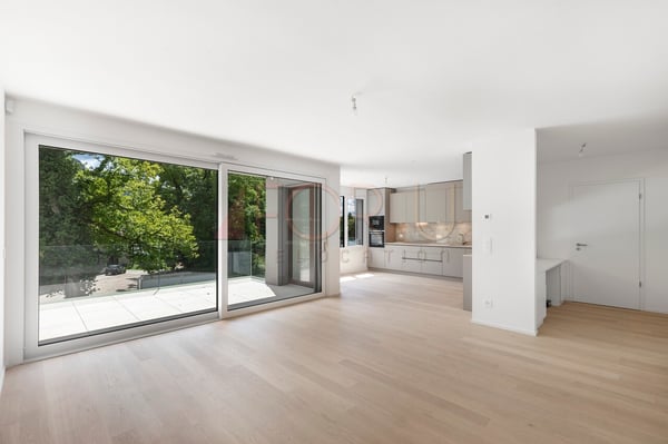 Superbe attique neuf de 4 pièces avec terrasse à Vessy 3