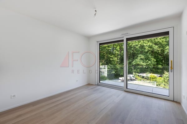 Superbe attique neuf de 4 pièces avec terrasse à Vessy 11