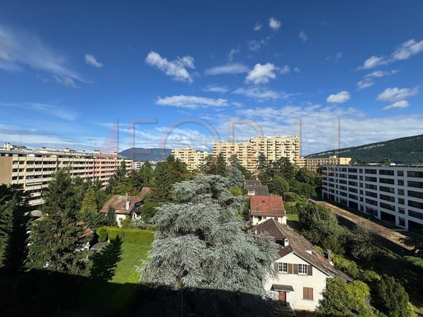 Attique rafraîchi de 4 pièces avec balcon sans vis-à-vis (Chêne-Bourg) 1