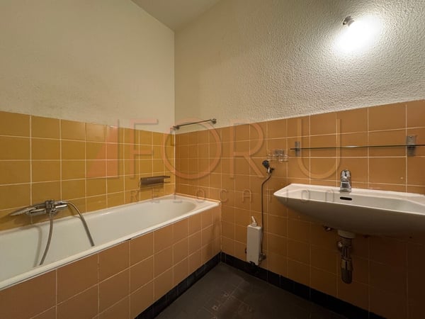 Attique rafraîchi de 4 pièces avec balcon sans vis-à-vis (Chêne-Bourg) 9