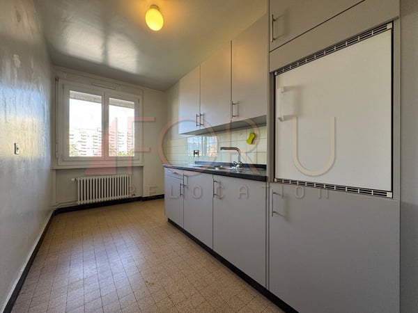Attique rafraîchi de 4 pièces avec balcon sans vis-à-vis (Chêne-Bourg) 4