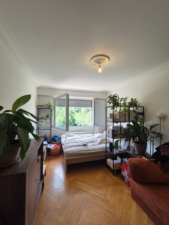 Appartement 2 pièces à Plainpalais 3