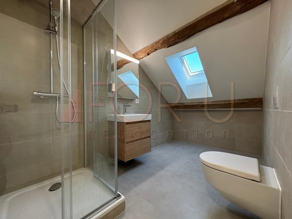 Ancienne ferme transformée en triplex de 6.5 pièces à Avusy 9