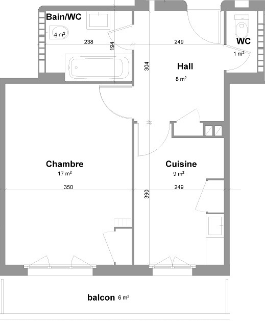 Très bel appartement 2 pièces avec balcon à Malagnou 8