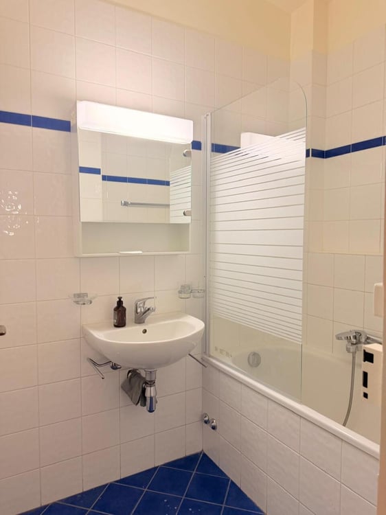 Bel appartement 1 pièces avec balcon proche du parc des Eaux-Vives 5