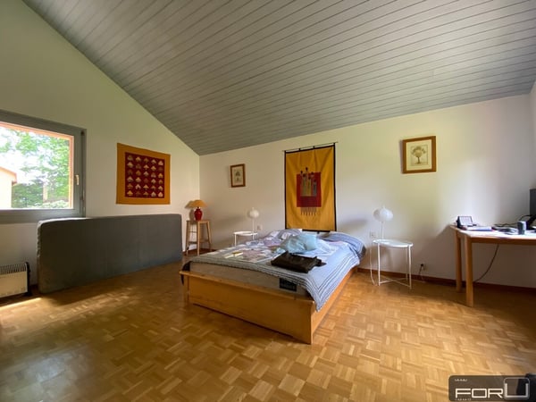Belle villa individuelle au calme avec grand jardin à Carouge 7