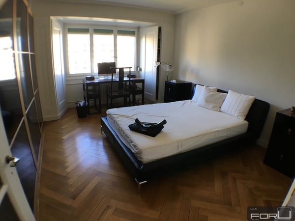 Superbe appartement de 1 pièces aux Eaux-Vives 9
