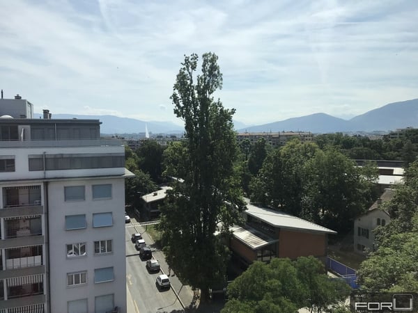 Bel appartement moderne de 2.5 pièces en surélévation à la Servette 1