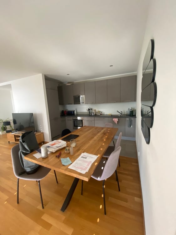 Bel appartement moderne de 2.5 pièces en surélévation à la Servette 7