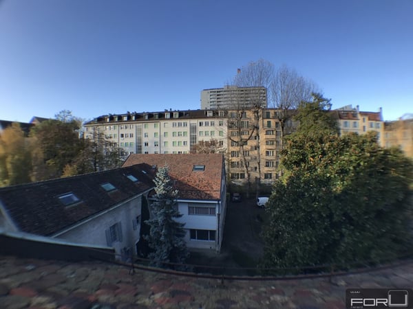 Attique magnifique, grand, atypique et rénové dans le Vieux-Carouge 6