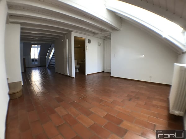 Attique magnifique, grand, atypique et rénové dans le Vieux-Carouge 3