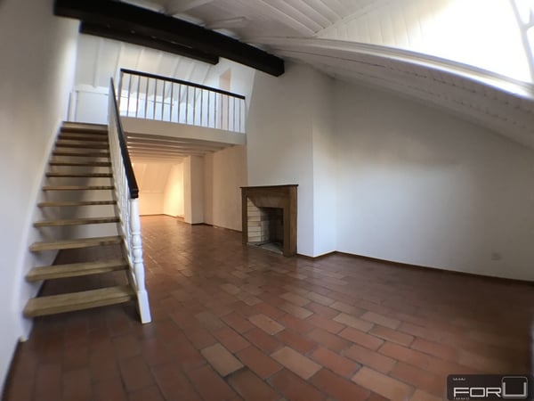 Attique magnifique, grand, atypique et rénové dans le Vieux-Carouge 4
