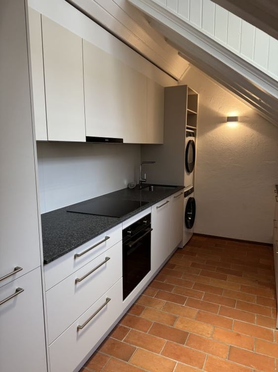 Attique magnifique, grand, atypique et rénové dans le Vieux-Carouge 5