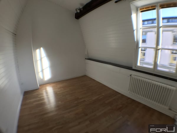 Attique magnifique, grand, atypique et rénové dans le Vieux-Carouge 11