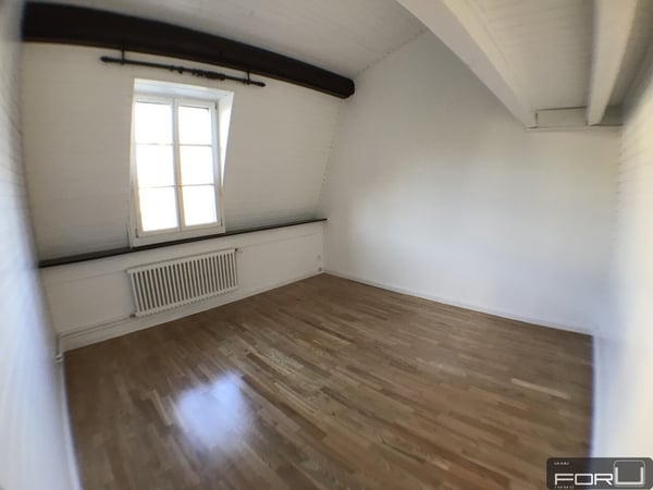 Attique magnifique, grand, atypique et rénové dans le Vieux-Carouge 10