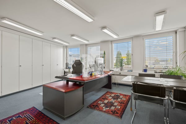 Top-Investitionsobjekt in Muttenz für Handwerker - Schreinerei, Büros, Lager, Tiefgarage, & Wohnung in Industriezone 11