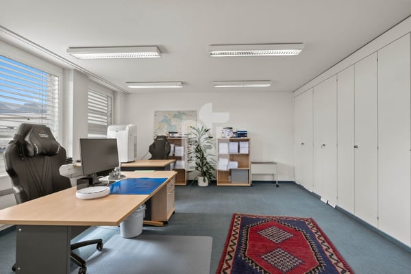 Top-Investitionsobjekt in Muttenz für Handwerker - Schreinerei, Büros, Lager, Tiefgarage, & Wohnung in Industriezone 8