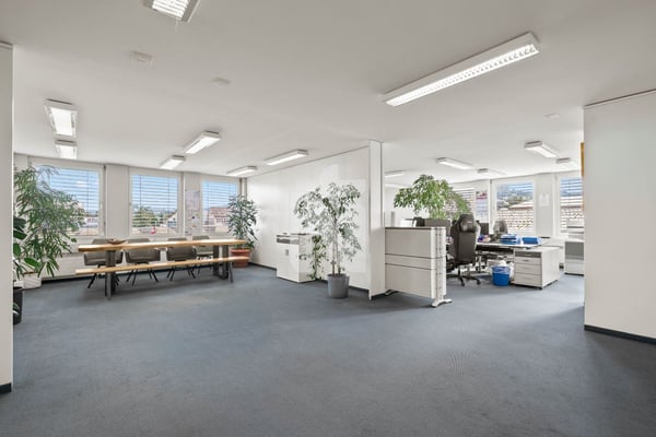 Top-Investitionsobjekt in Muttenz für Handwerker - Schreinerei, Büros, Lager, Tiefgarage, & Wohnung in Industriezone 6