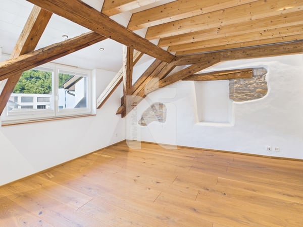 Charmante, sanierte Maisonettewohnung mit Lift, Balkon und eigenem Waschturm