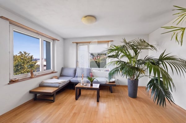 Familienfreundliche Doppelhaushälfte mit Einliegerwohnung, Garten und Blick über die Dächer von Basel 9