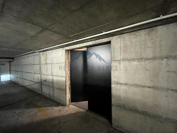 Dépôt / espace polyvalent | Petit-Saconnex 5