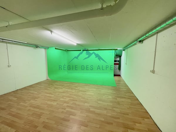 Dépôt / espace polyvalent | Petit-Saconnex 2