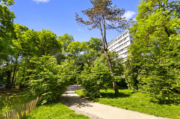 Spacieux appartement de 2 pièces dans le quartier prisé de Champel 1