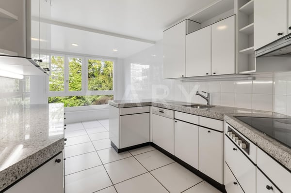 Appartement 7 pièces au coeur de Genève 5