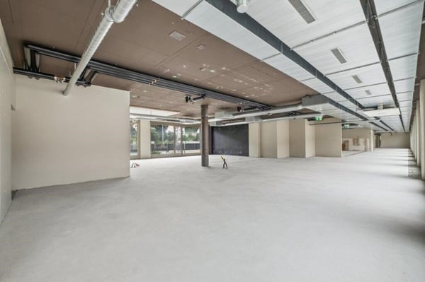 Exklusive Büro-, Praxis- oder Dienstleistungsflächen in zentraler Lage 4