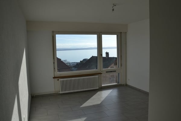 Profitez d'une magnifique vue sur le lac! 4