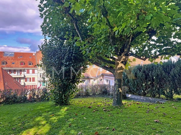 Opportunité unique au coeur de Romont lmmeuble mixte à vendre 12