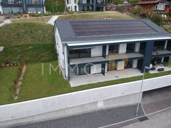 Magnifique 1.5pces Vue sur lac et les montagnes 1