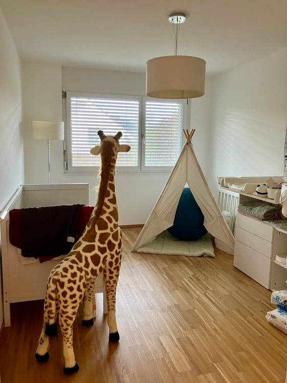 Au coeur d'Attalens  Ravissante ville contiguë 5