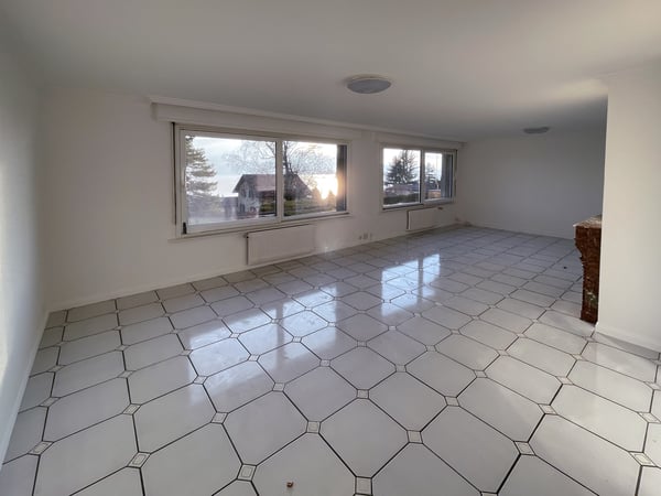 Spacieux appartement de 1.5 pièces avec vue sur lac 4