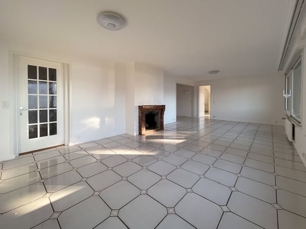 Spacieux appartement de 1.5 pièces avec vue sur lac 6