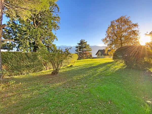 Ravissant 1 pces avec terrasse et jardin 2