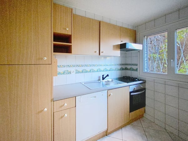 Ravissant 1 pces avec terrasse et jardin 4